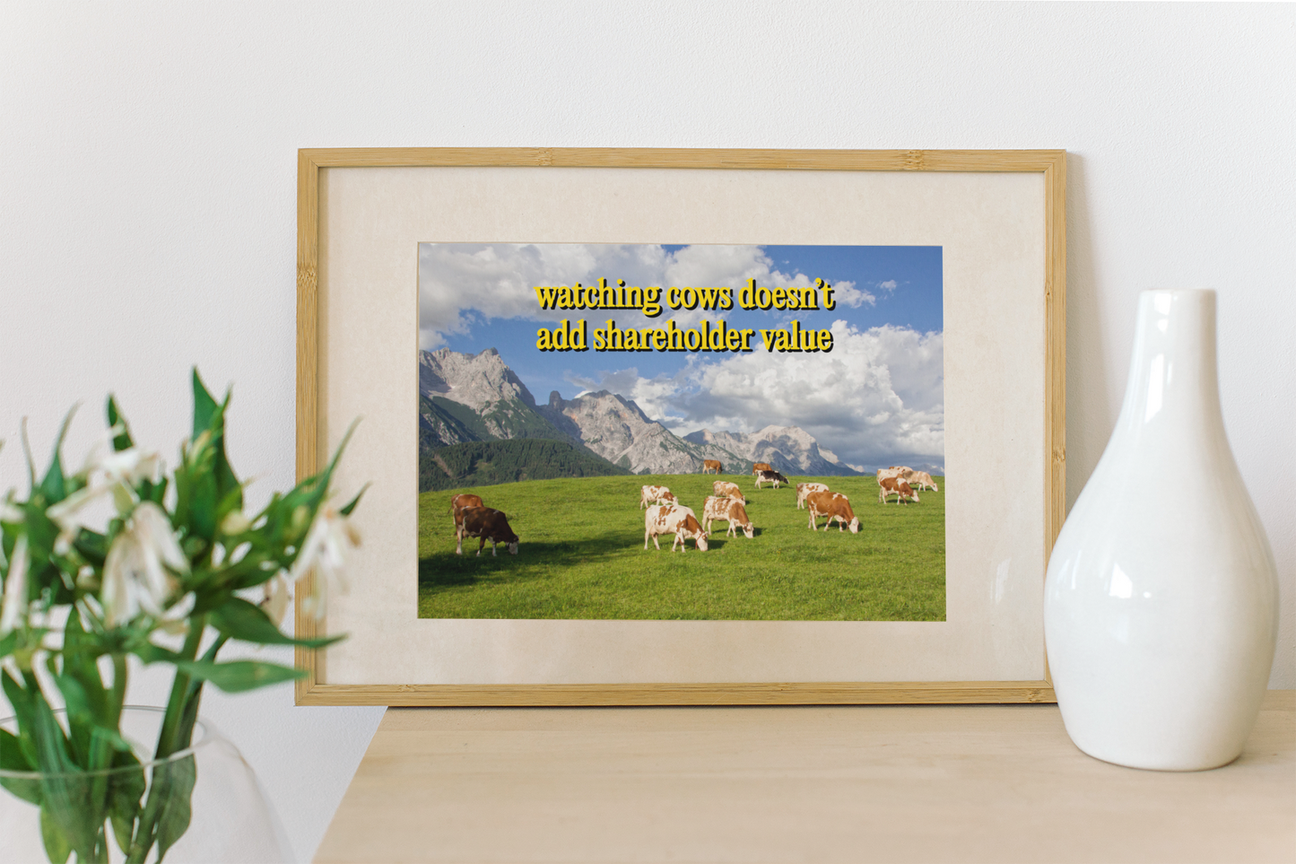 "watching cows"
