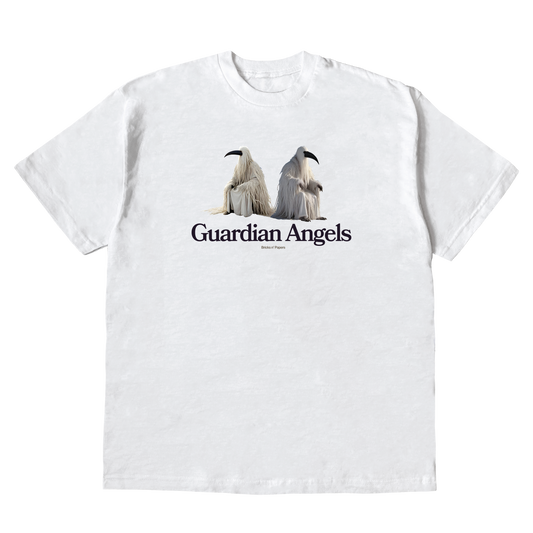 Guardian Angels